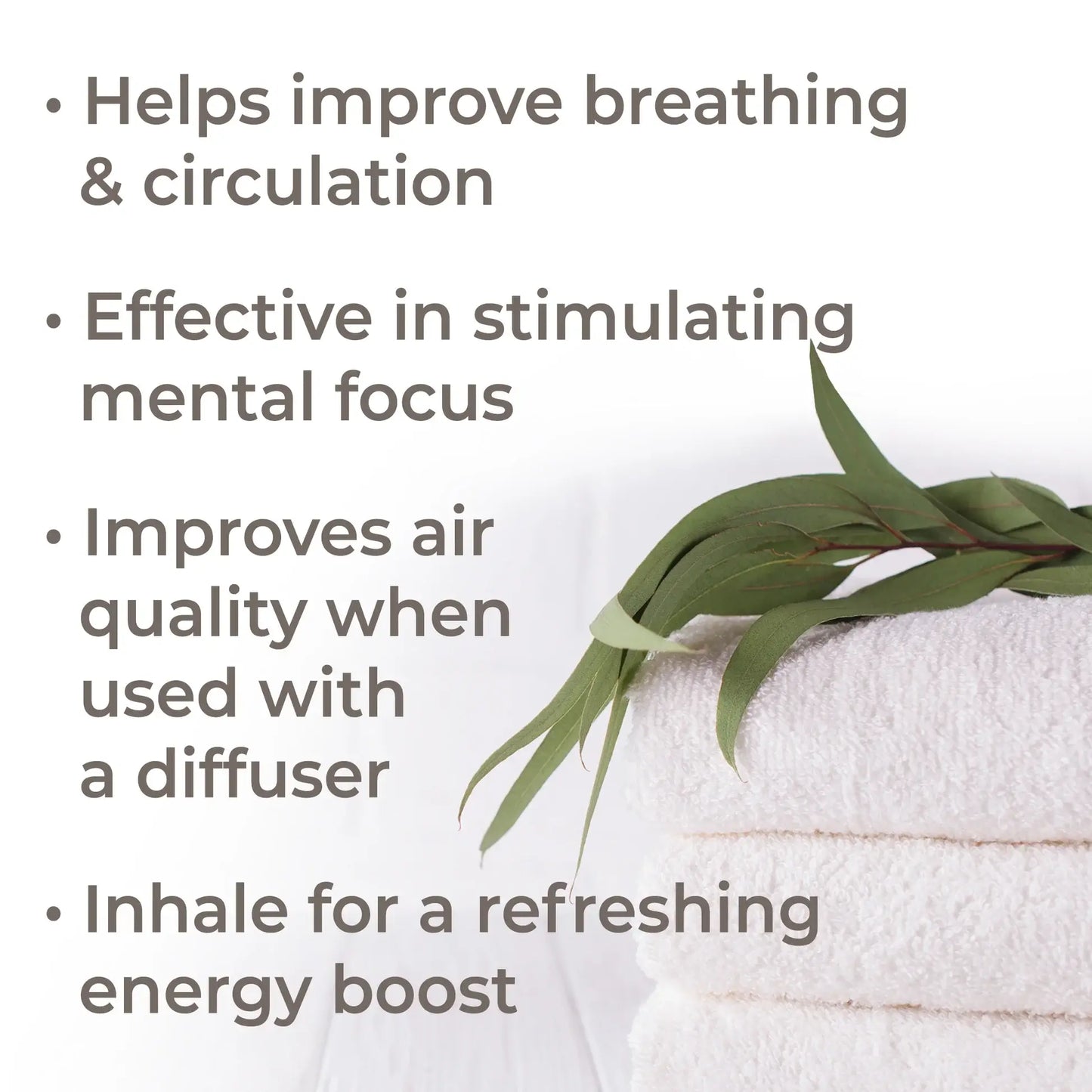 Eucalyptus Globulus Essential Oil 10 mL