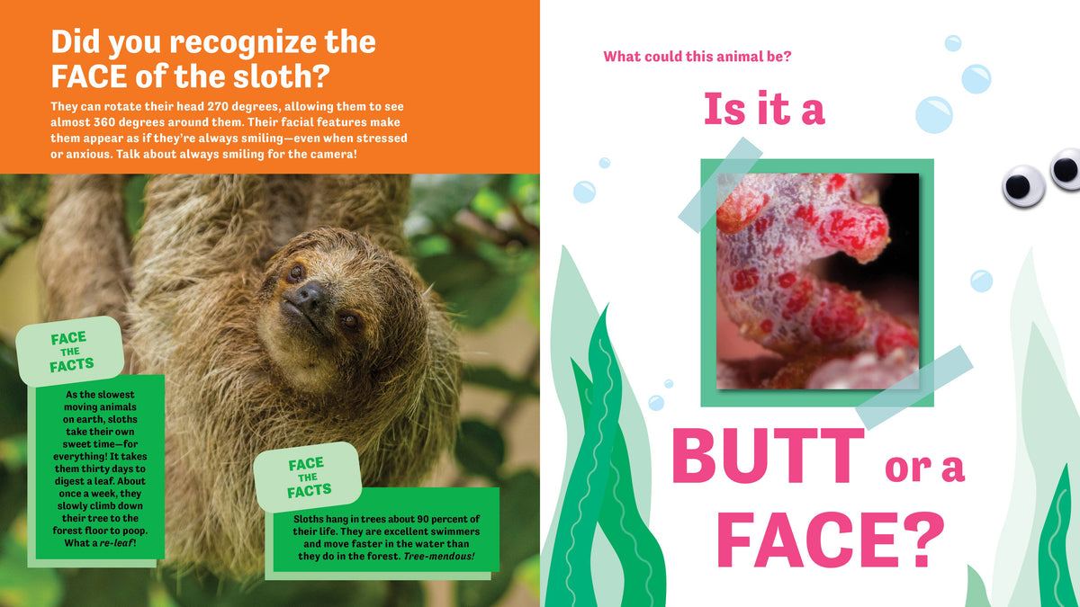 Butt or Face? Volume 4