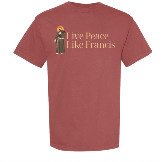 Adult Brick Warm toned Comfort Tee