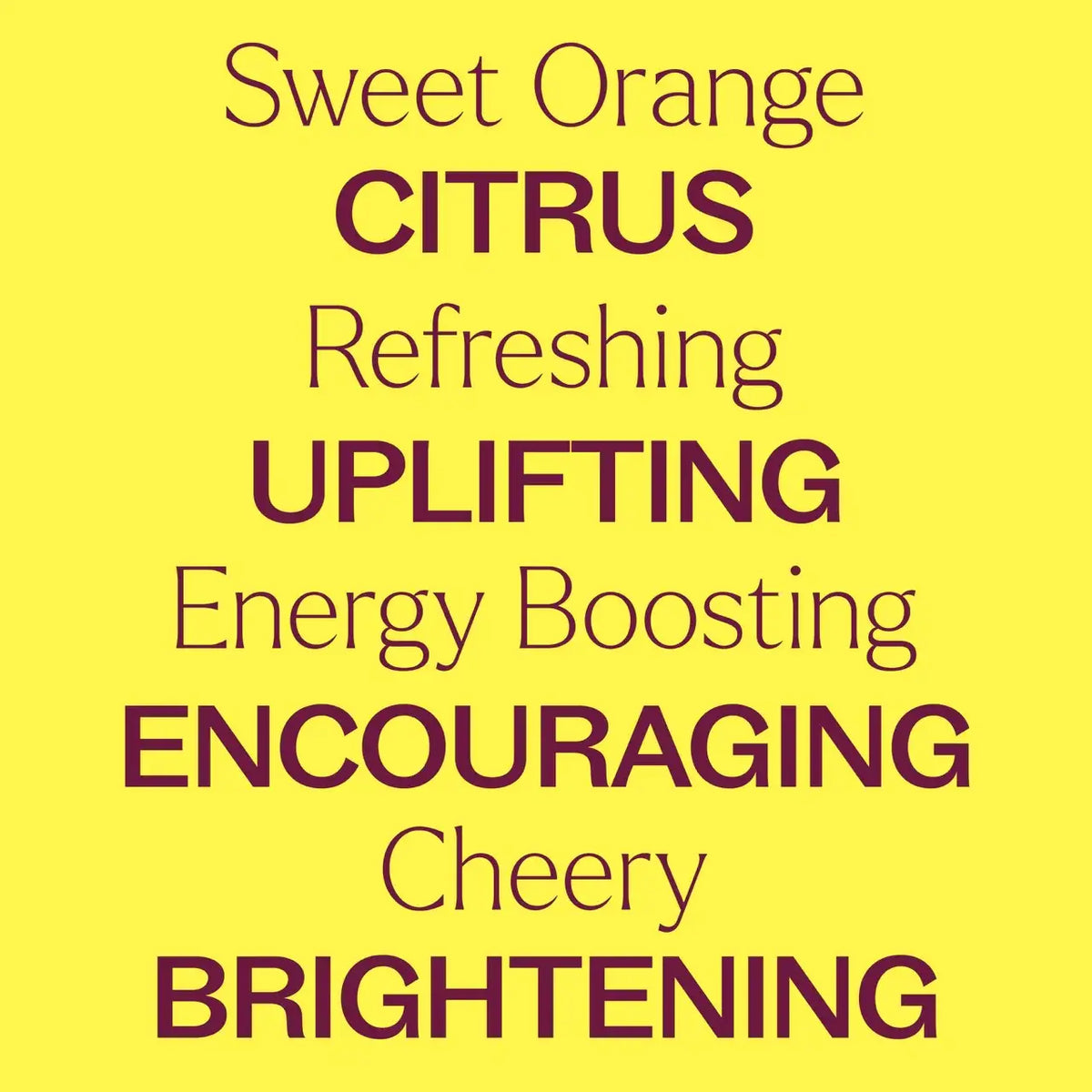 Sweet Orange Essential Oil 10 mL