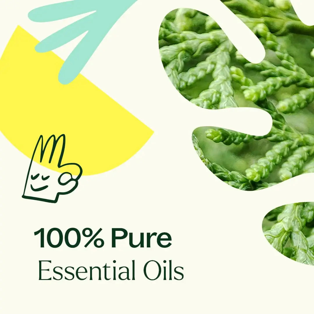 Deodorizing Essential Oil Blend 10 mL