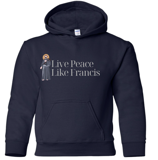 Youth Cool toned Hoodie (UNIFORM APPROVED)