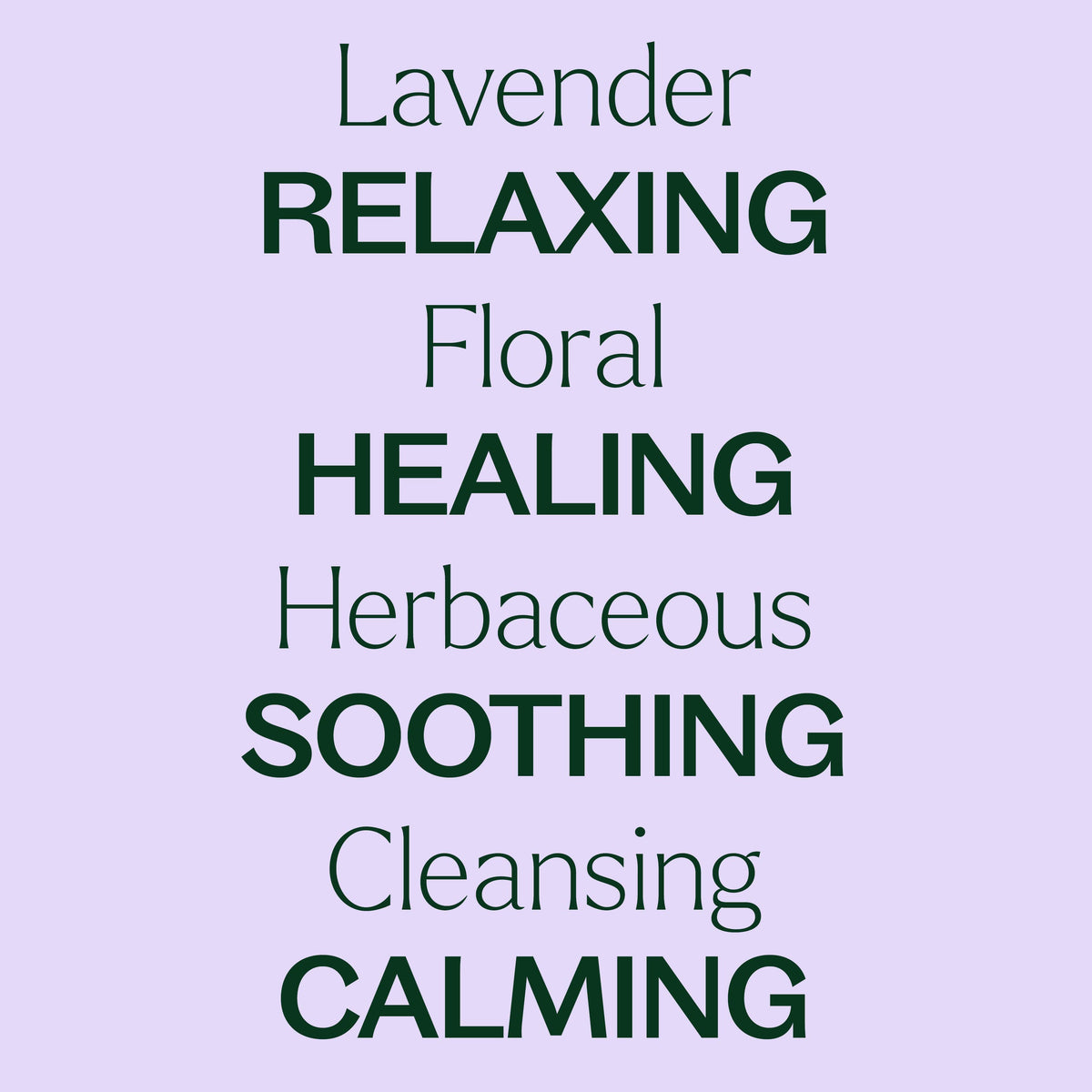 Lavender Essential Oil 10 mL