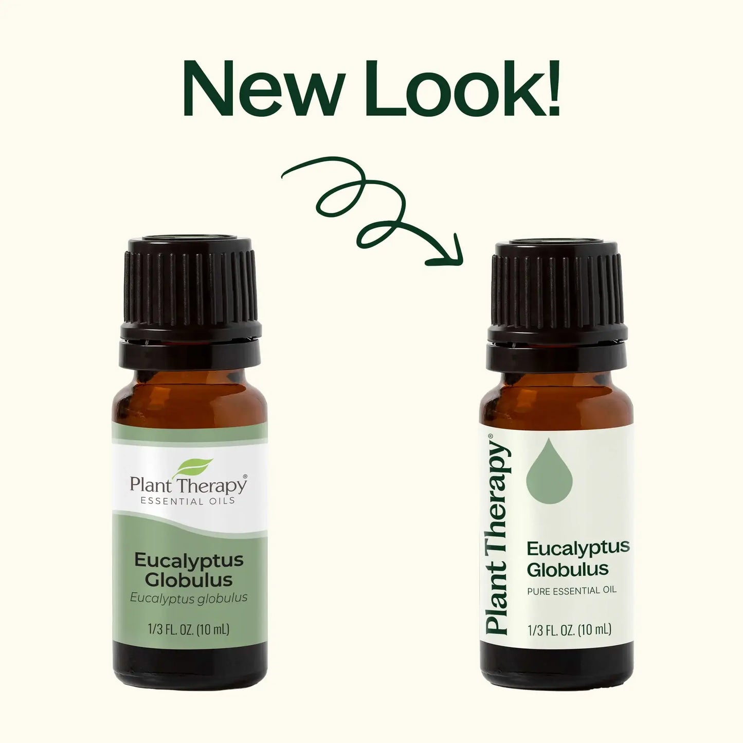 Eucalyptus Globulus Essential Oil 10 mL