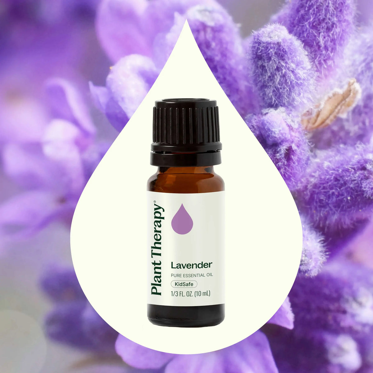 Lavender Essential Oil 10 mL