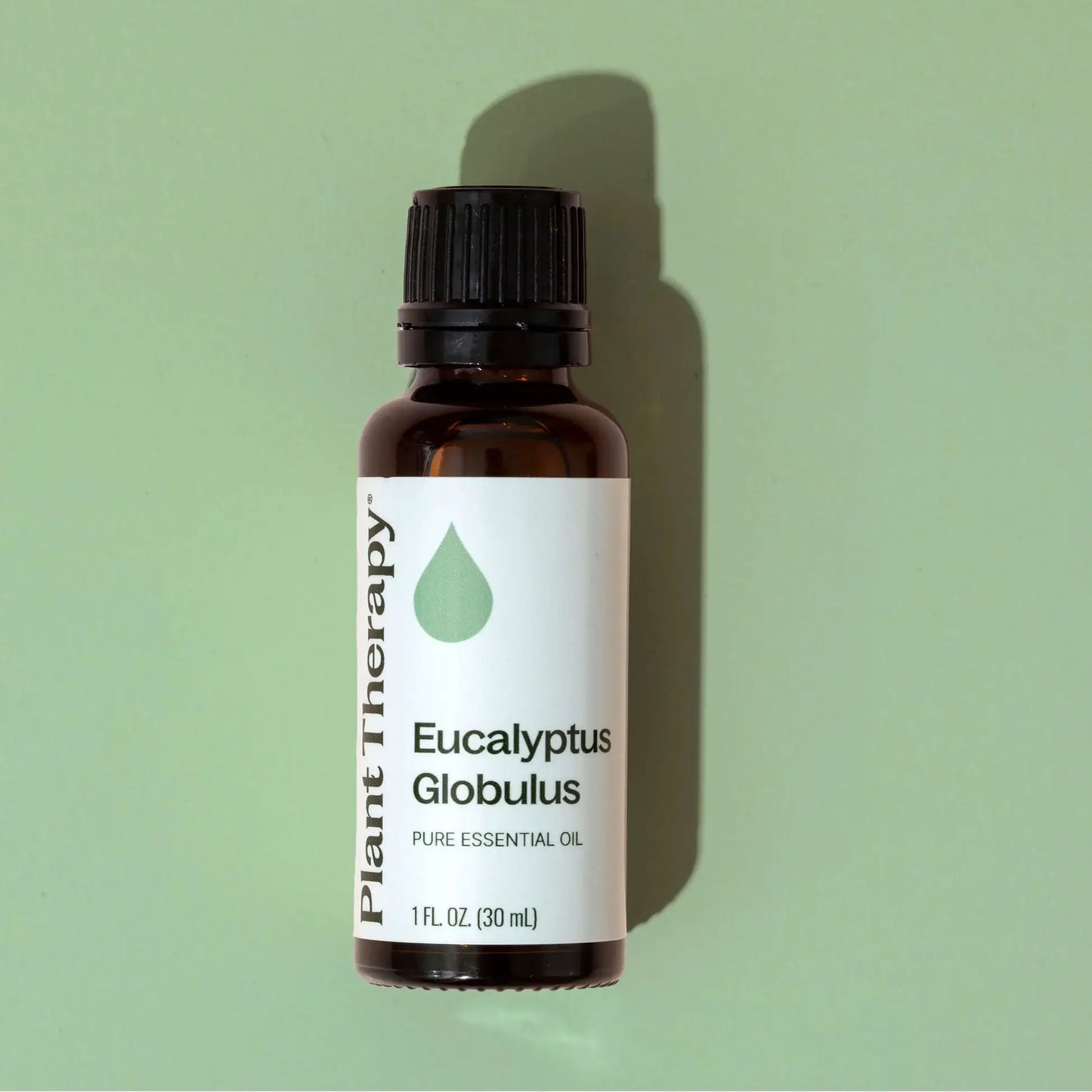 Eucalyptus Globulus Essential Oil 10 mL