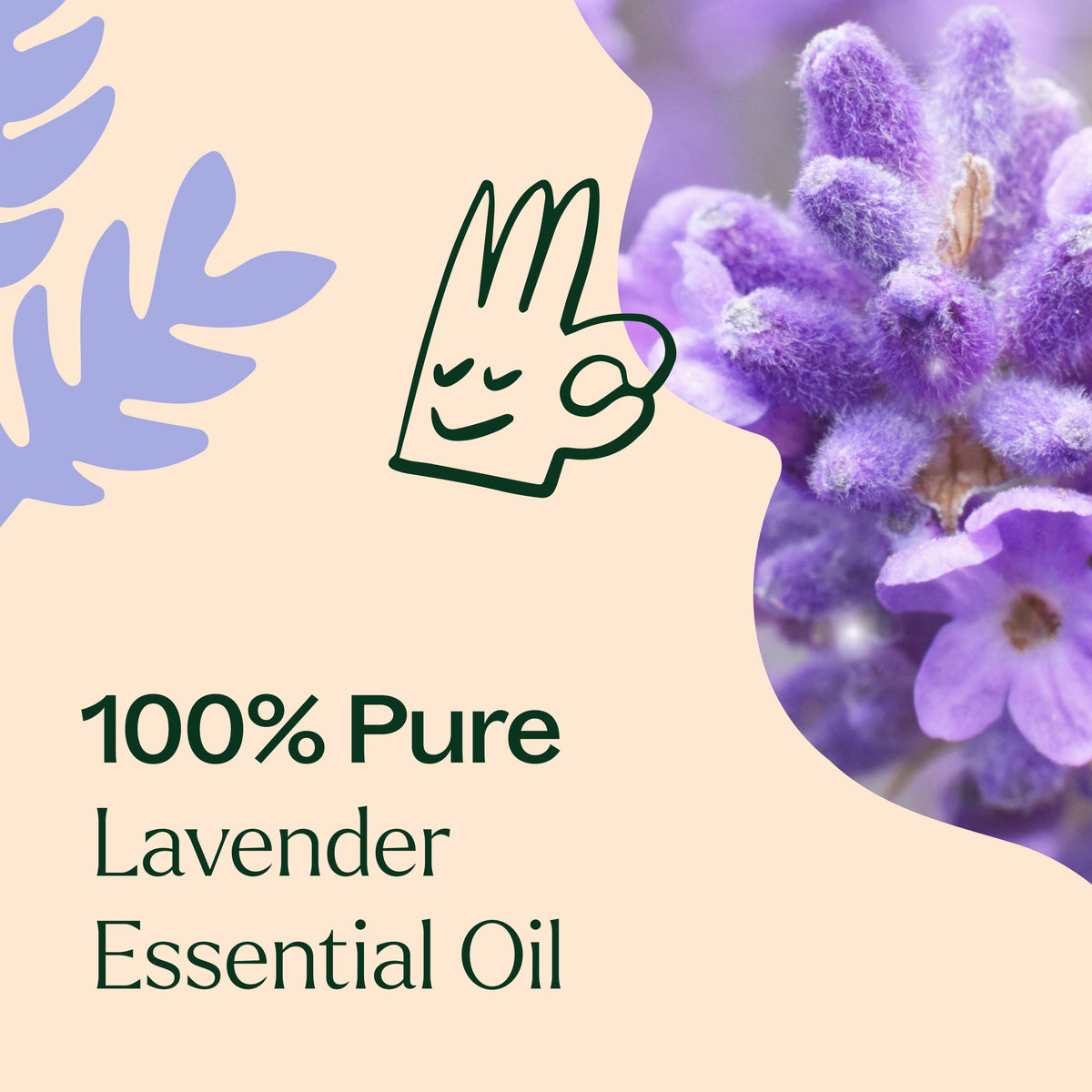 Lavender Essential Oil 10 mL